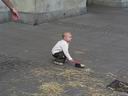 Bild Nr. 38