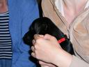 Bild Nr. 12